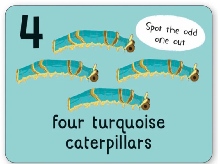 "Bugs Flashcards for Kids"