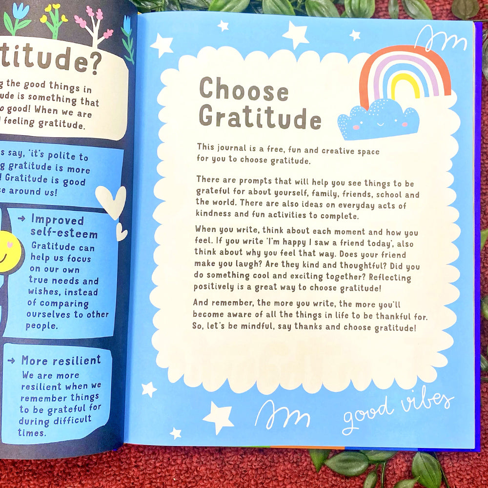 " Mindful Journal"