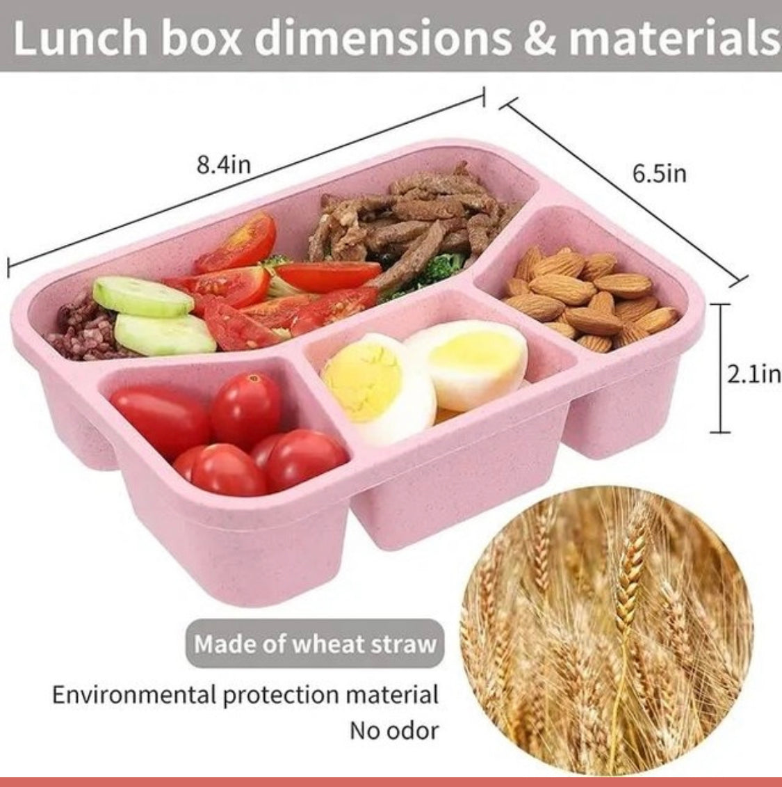 4 compartment lunch box for kids and adults
