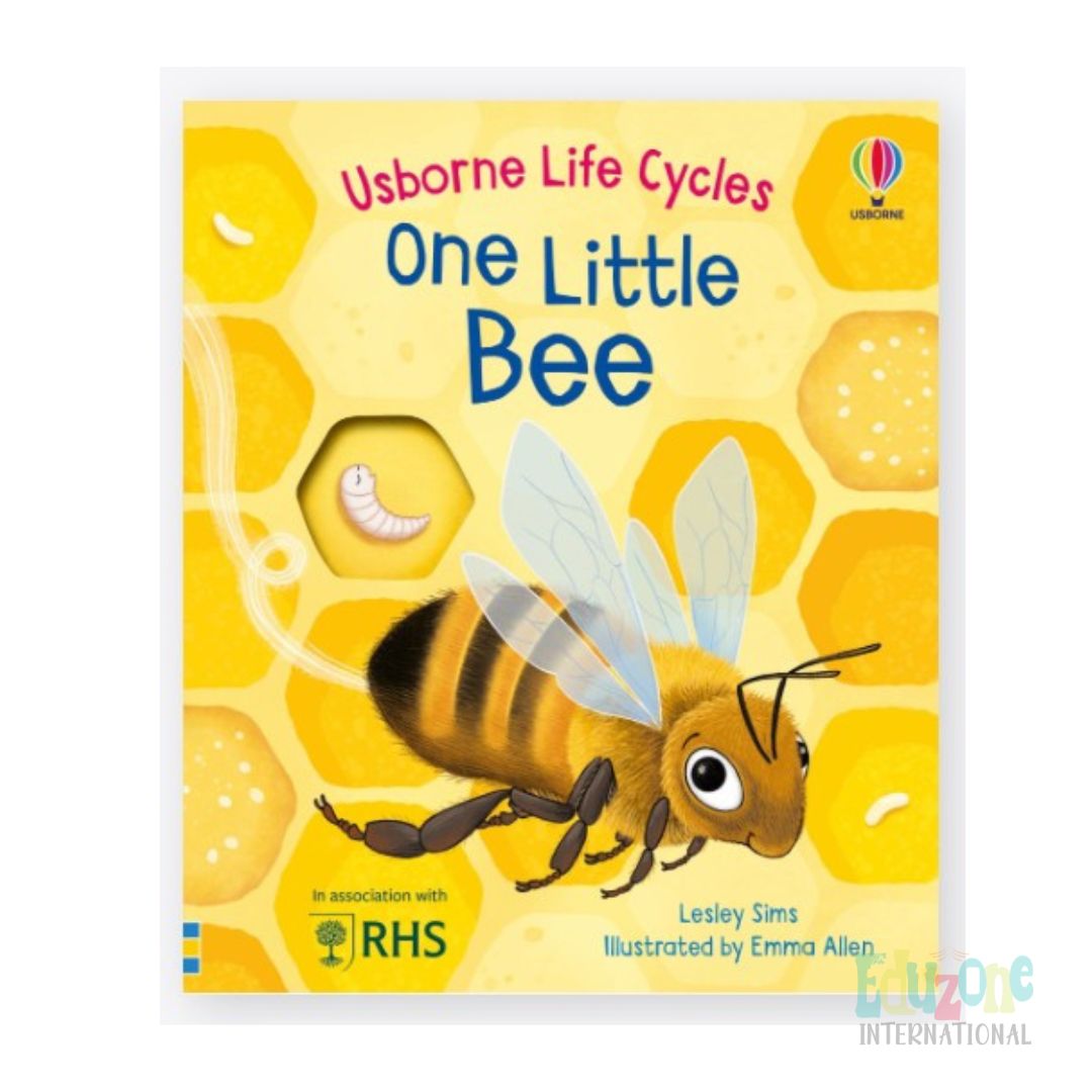 "Usborne Life Cycles Book- One little Bee"