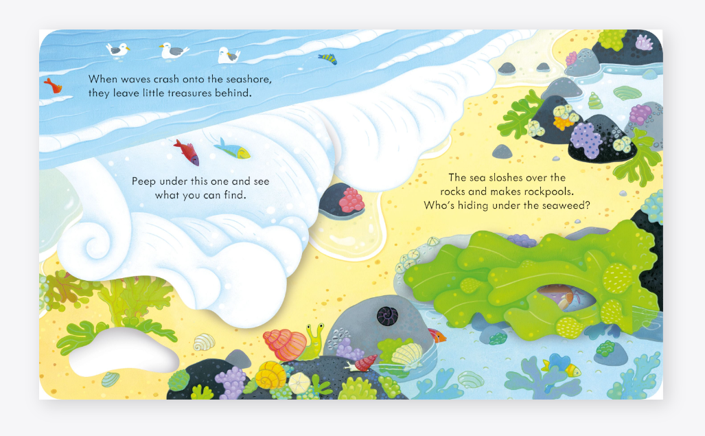 "Usborne Peep Inside Sea shore Kids Books"