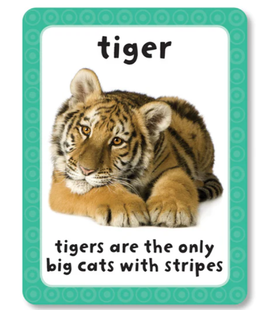 Get Set Go Flashcards: Animals