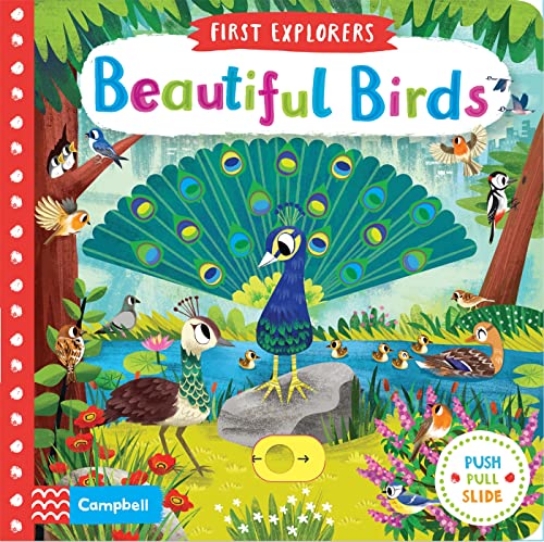 Kids Push, pull and slide Book - Beautiful Birds | Board Book