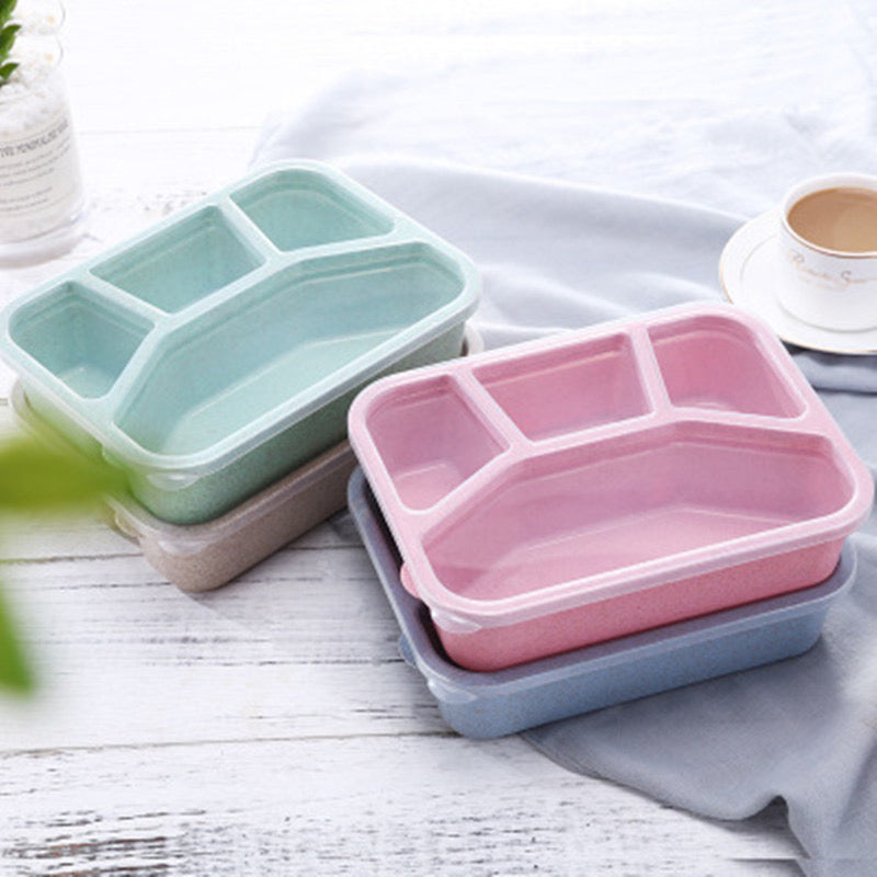 4 compartment lunch box for kids and adults